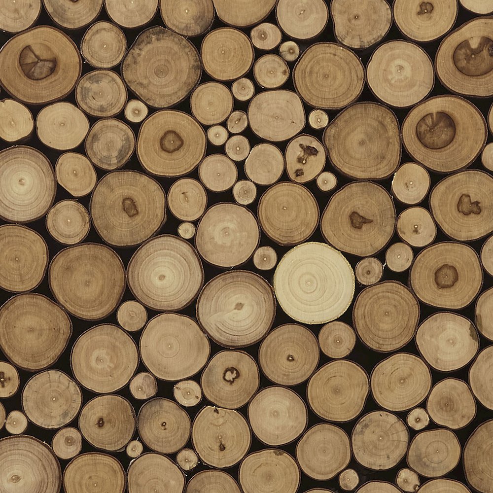 Topi Natural Wood Slice Mosaic Wall Decor, Natural color