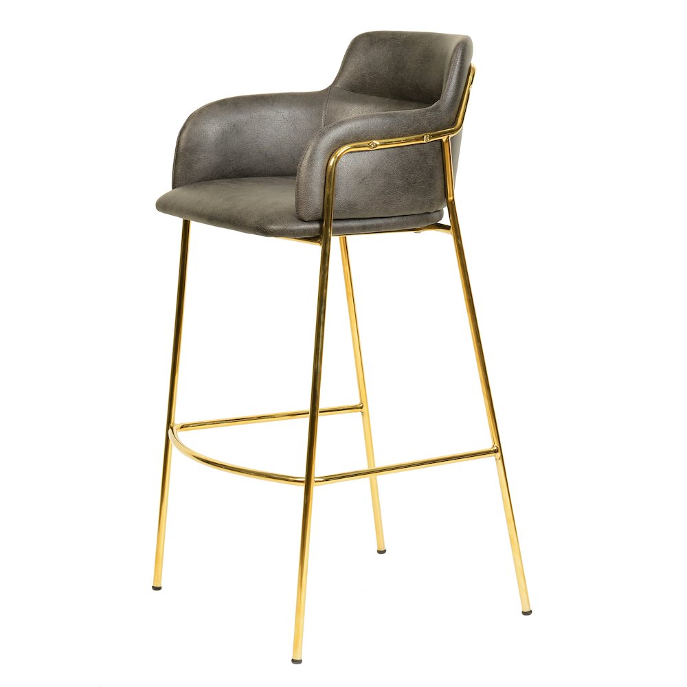 Axis Collection Modern Gold Bar height Chair in Charcoal