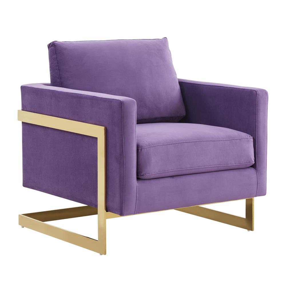Velvet Accent Armchair With Gold Frame