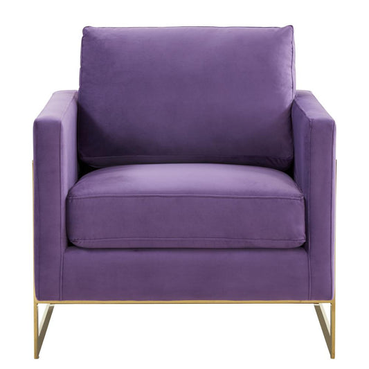 Velvet Accent Armchair With Gold Frame