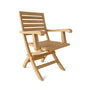 Andrew Folding Armchair, Set of 2