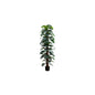 Artificial Plant, 83" Tall, Monstera Tree, Floor, Indoor