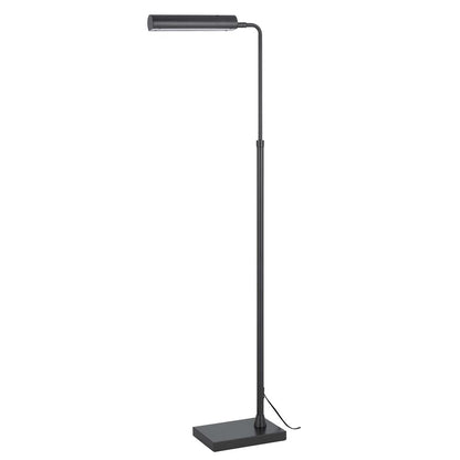 Delray 17W, 3000K Non Dimmable Integrated Led Metal Floor Lamp