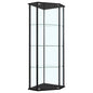 Zenobia 4-shelf Curio Cabinet Display Case Black