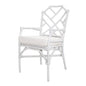 Kara Rattan Arm Chair