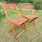 Acacia Wood Folding Chairs (Set of 2), Stain