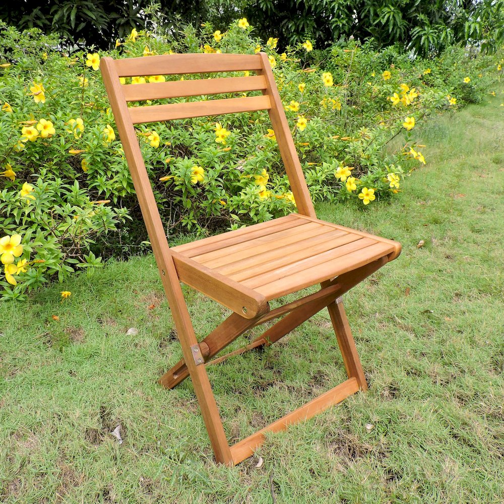 Acacia Wood Folding Chairs (Set of 2), Stain