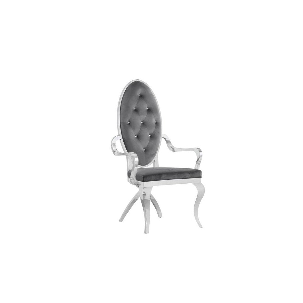 Velvet Arm Chair Set of 2, Stainless Steel, Dark grey