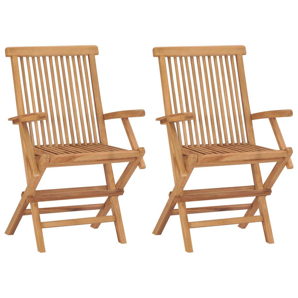 Garden Chair Set of 2 Teak Solid Teak Wood Standard Foldable