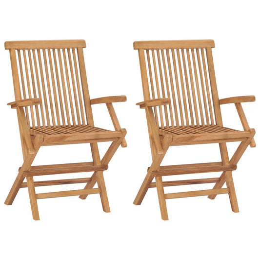 Garden Chair Set of 2 Teak Solid Teak Wood Standard Foldable