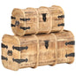 vidaXL Storage Chests 2 Pieces Solid Mango Wood 0374