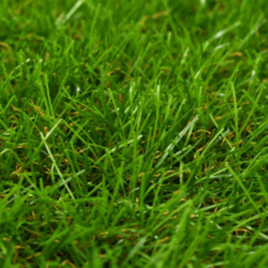 Artificial Grass Light green, Dark green, Brown PP (polypropylene)