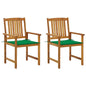 Garden Chair Set of 2 Wooden, Green