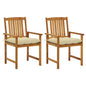 Patio Chair Set of 2 Wooden Brown