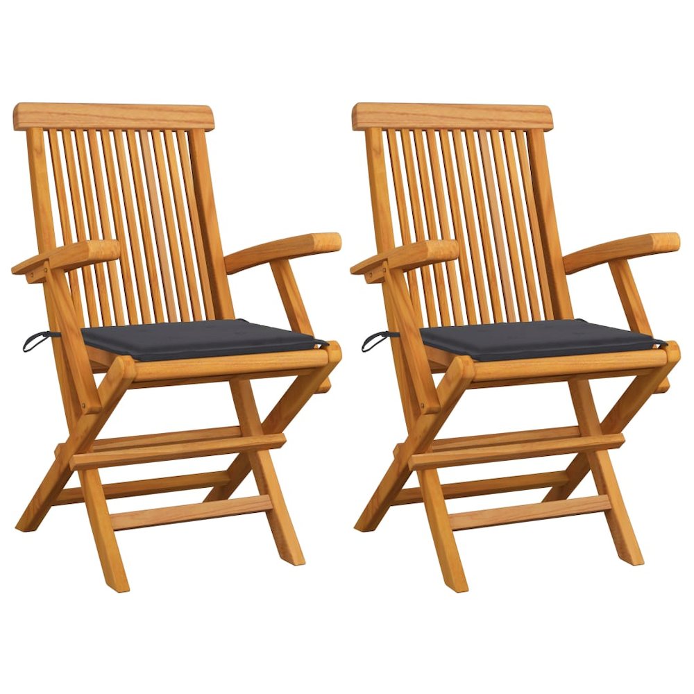 Garden Chair Set of 2 Natural wood Teak wood Standard Foldable