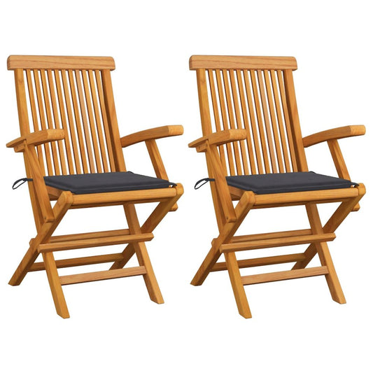 Garden Chair Set of 2 Natural wood Teak wood Standard Foldable