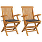 Garden Chair Set of 2 Natural wood Teak wood Standard Foldable