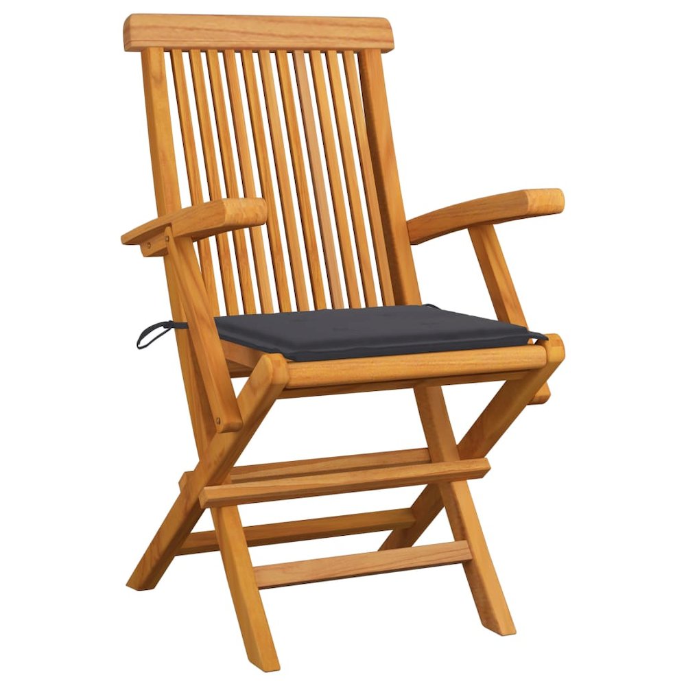 Garden Chair Set of 2 Natural wood Teak wood Standard Foldable