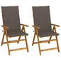 Garden Chair Set of 2 Taupe, Brown