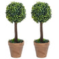Artificial Plant Set of 2 Mixed Green