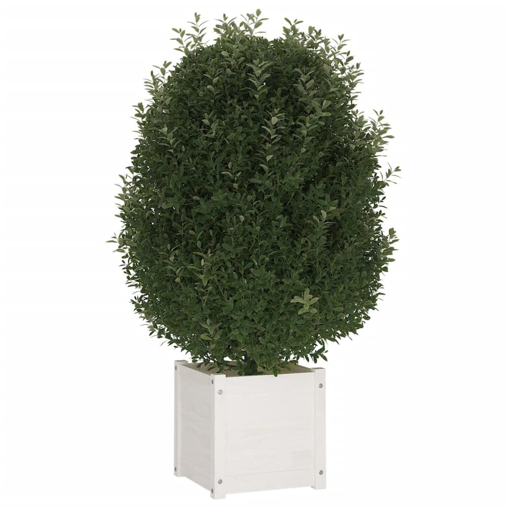 Garden Planter White 15.7"x15.7"x15.7" Solid Wood Pine