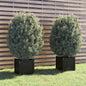 Garden Planters 2 pcs Black 15.7"x15.7"x15.7" Solid Wood Pine