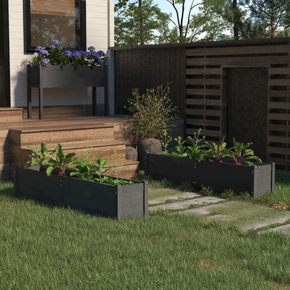 Garden Raised Beds 2 pcs Gray 59.1"x12.2"x12.2" Solid Wood Pine