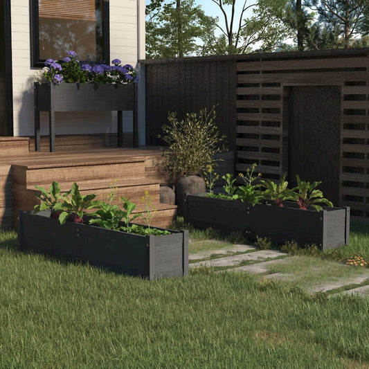 Garden Raised Beds 2 pcs Gray 59.1"x12.2"x12.2" Solid Wood Pine