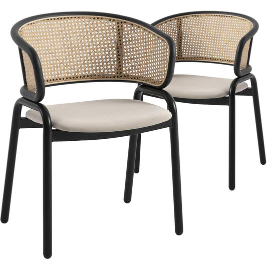 Dining Chair With Stainless Steel Legs Velvet Seat and Wicker Back