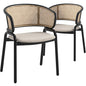 Dining Chair With Stainless Steel Legs Velvet Seat and Wicker Back