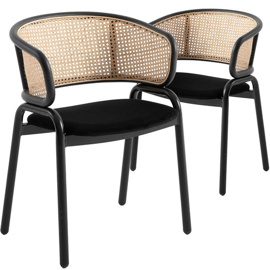 Dining Chair With Stainless Steel Legs Velvet Seat and Wicker Back