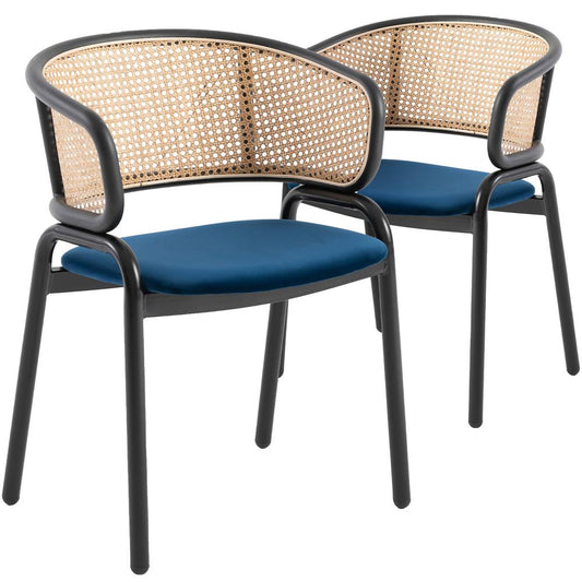 Dining Chair With Stainless Steel Legs Velvet Seat and Wicker Back