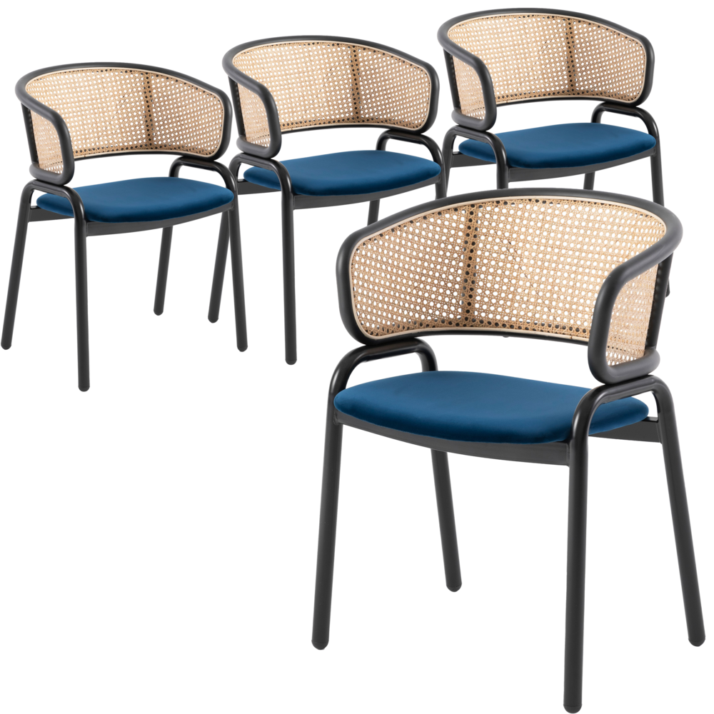 Dining Chair With Stainless Steel Legs Velvet Seat and Wicker Back