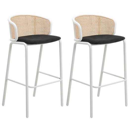 Seat and White Powder Coated Steel Frame, Set of 2