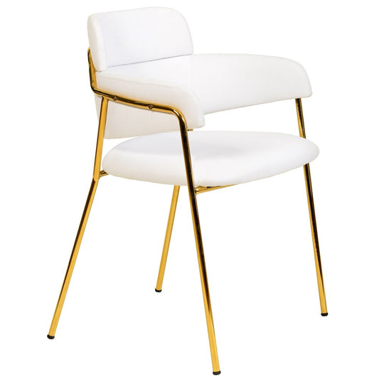 Axis Collection Modern Gold Dining Chair in White
