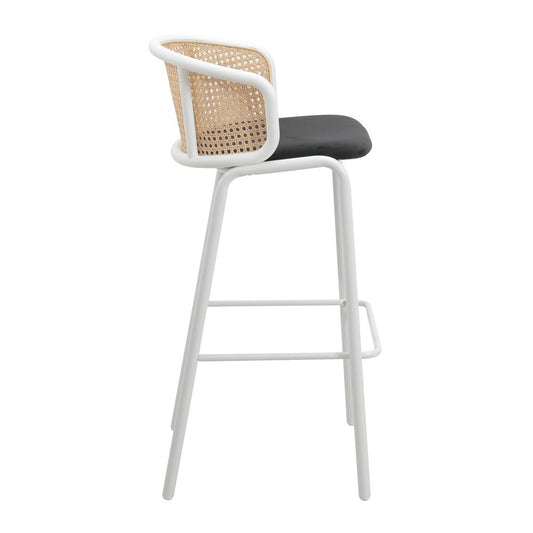Seat and White Powder Coated Steel Frame, Set of 2