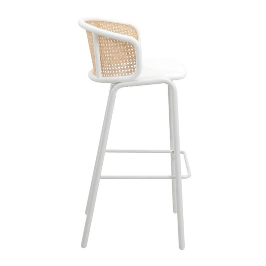 Seat and White Powder Coated Steel Frame, Set of 2