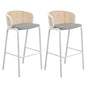 Seat and White Powder Coated Steel Frame, Set of 2