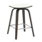 Modern Style Dark Walnut color in White