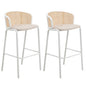 Seat and White Powder Coated Steel Frame, Set of 2