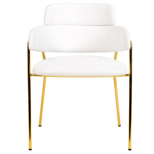 Axis Collection Modern Gold Dining Chair in White