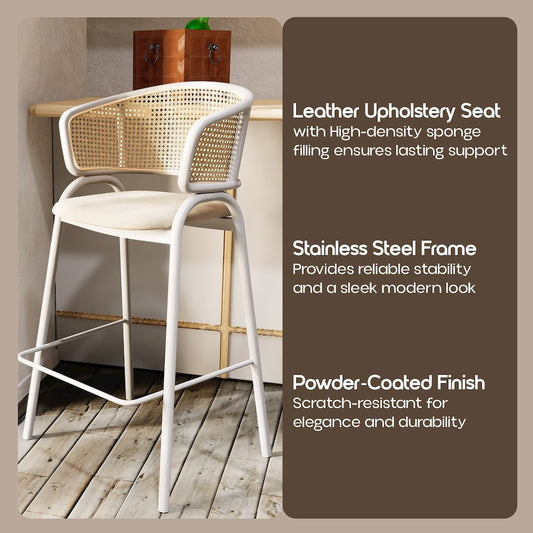Ervilla Wicker Bar Stool Set of 2