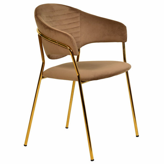 Bella Collection Modern Dining Chair in Brown Set of 4