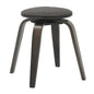 Modern Wooden Dining Stool, Dark Walnut Color in Brown