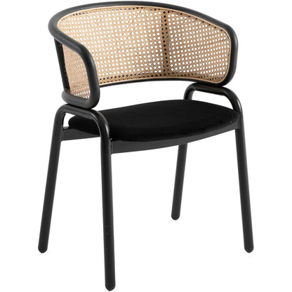 Dining Chair With Stainless Steel Legs Velvet Seat and Wicker Back