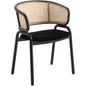 Dining Chair With Stainless Steel Legs Velvet Seat and Wicker Back
