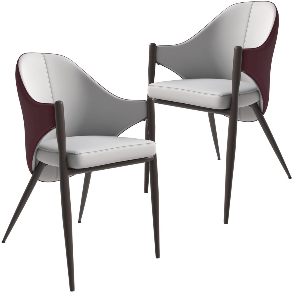 Sante Collection Modern Dining Chair Set of 2 in White/Bordouex