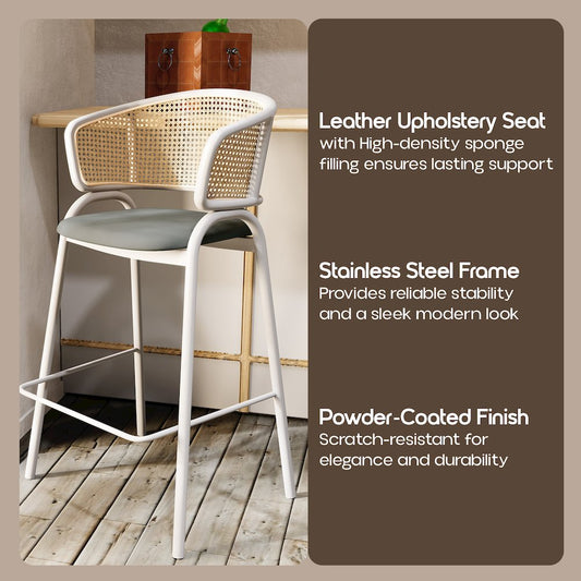 Ervilla Wicker Bar Stool Set of 2