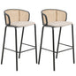 Seat and Black Powder Coated Steel Frame, Set of 2