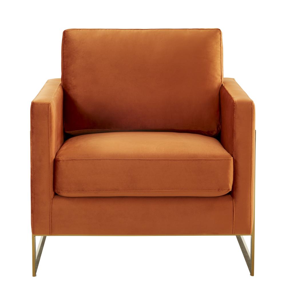 Velvet Accent Armchair With Gold Frame